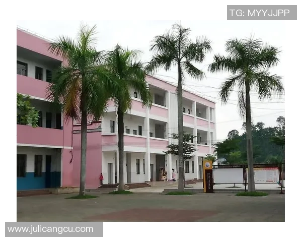 诺维奇发布财务会计师招聘启事鼓励积极主动与分析能力兼备人才